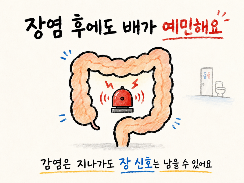 장염은 나았는데 배는 계속 아프다면? 장염후증후군(감염 후 과민성대장증후군) 살펴보기