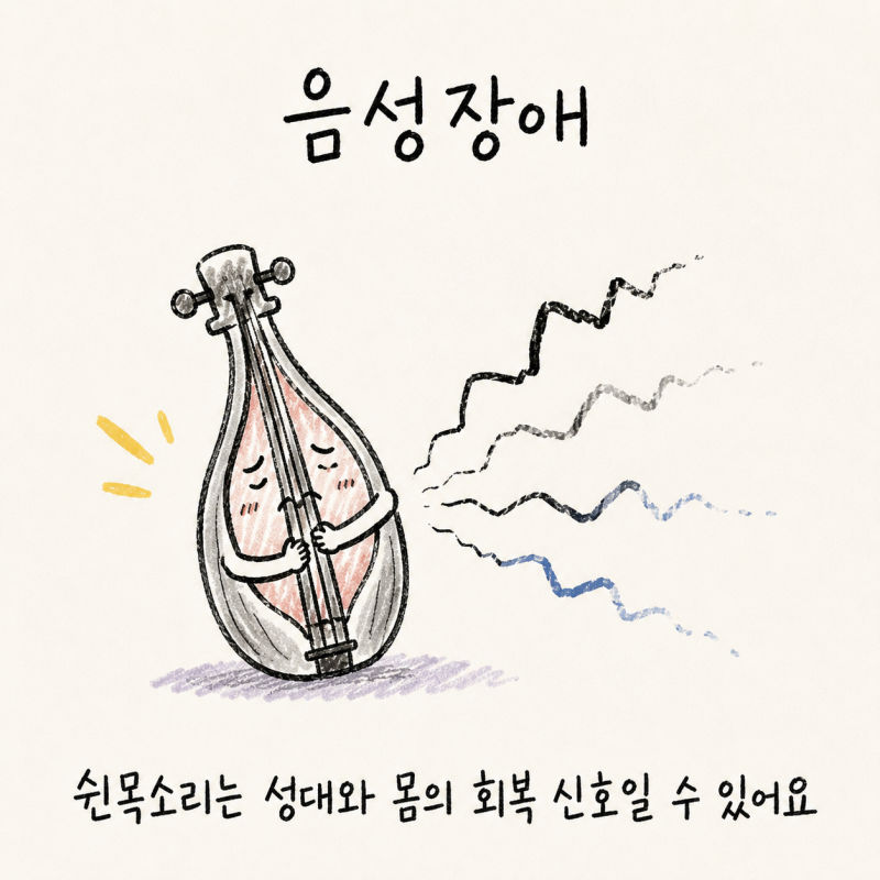 음성장애 · 쉰목소리 · 성대결절 · 실음(失音)