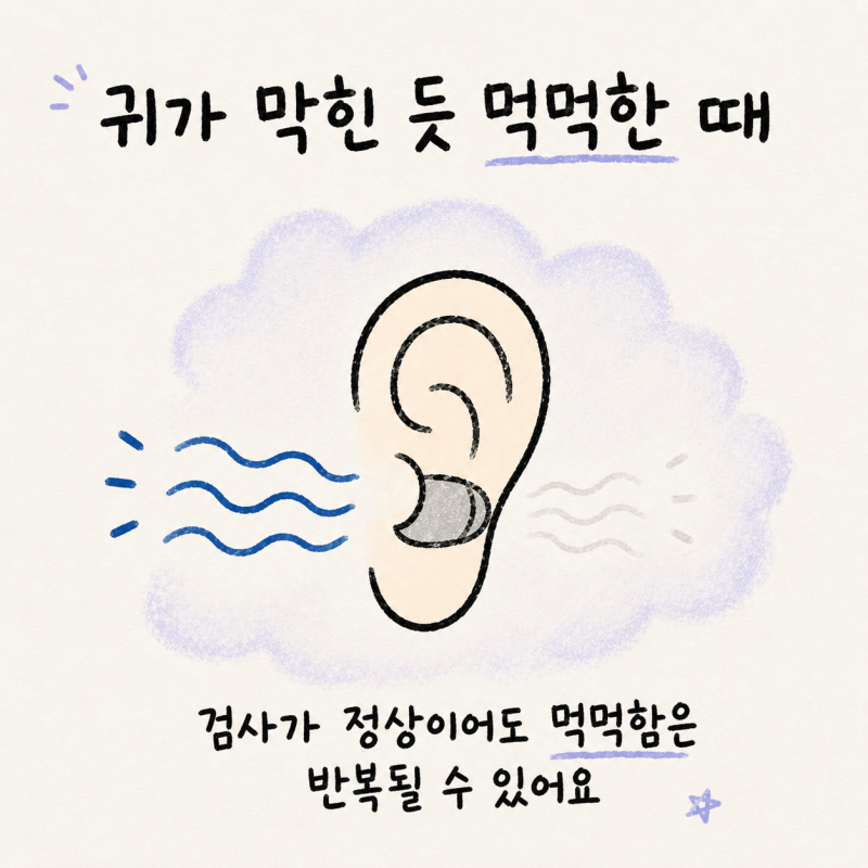 인천 송도 귀 먹먹함 · 귀 막힌 느낌 이충만감