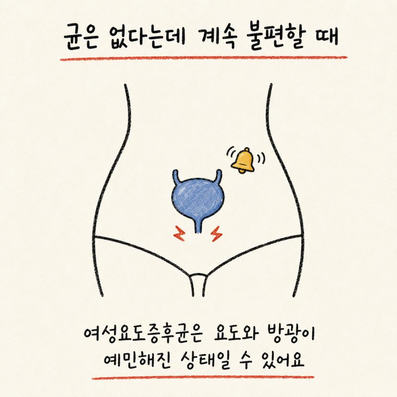 인천 송도 여성요도증후군 · 요도 자극 증후군 · 무균성 빈뇨