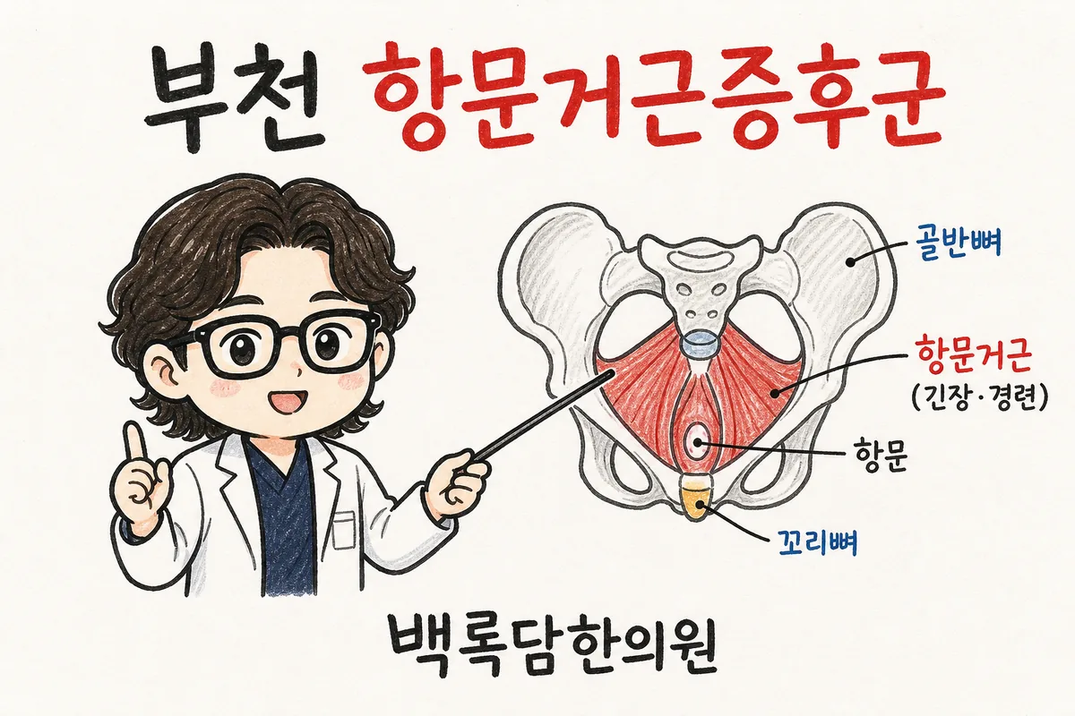 부천 항문거근증후군, 밤이 되면 항문 깊은 곳이 묵직하게 당길 때