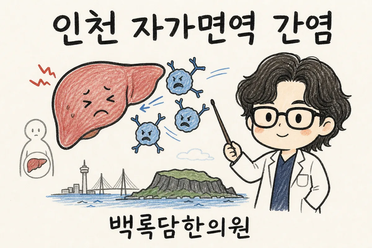 인천 자가면역 간염, 치료받아도 자꾸 도지는 간 수치 때문에 고민일 때