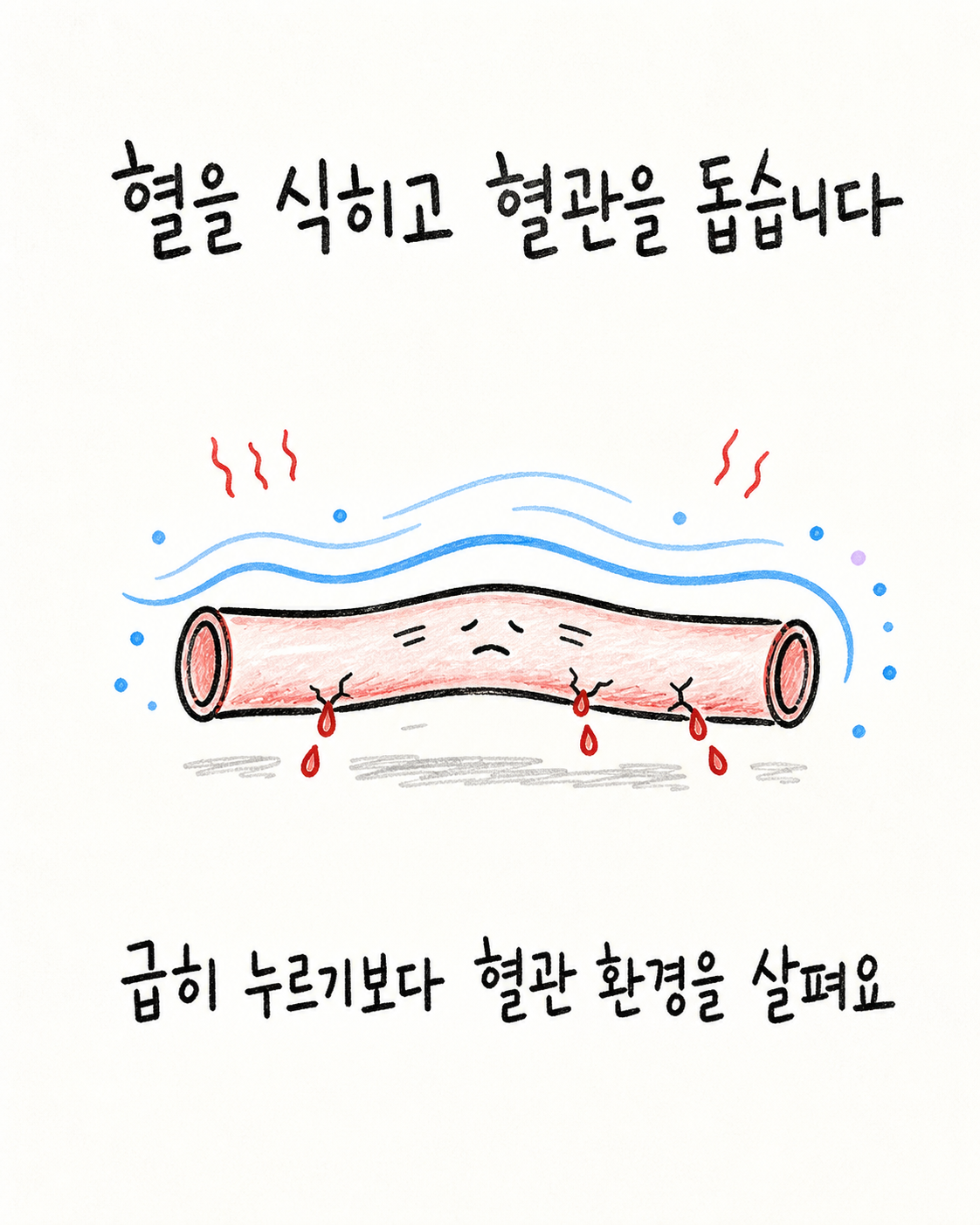 혈을 식히고 혈관 환경을 돕는 방향