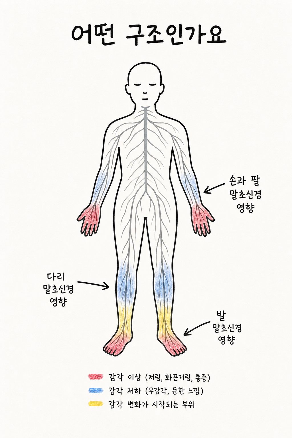메디컬 도판 — 말초신경 주변 미세순환과 정체 구조