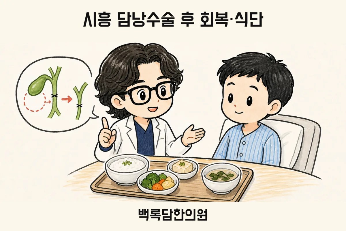 시흥 담낭수술 후 회복·식단, 검사는 정상인데 소화가 계속 불편할 때