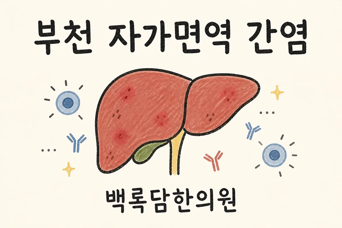 부천 자가면역 간염, 술 안 마셔도 간 수치가 계속 오를 때