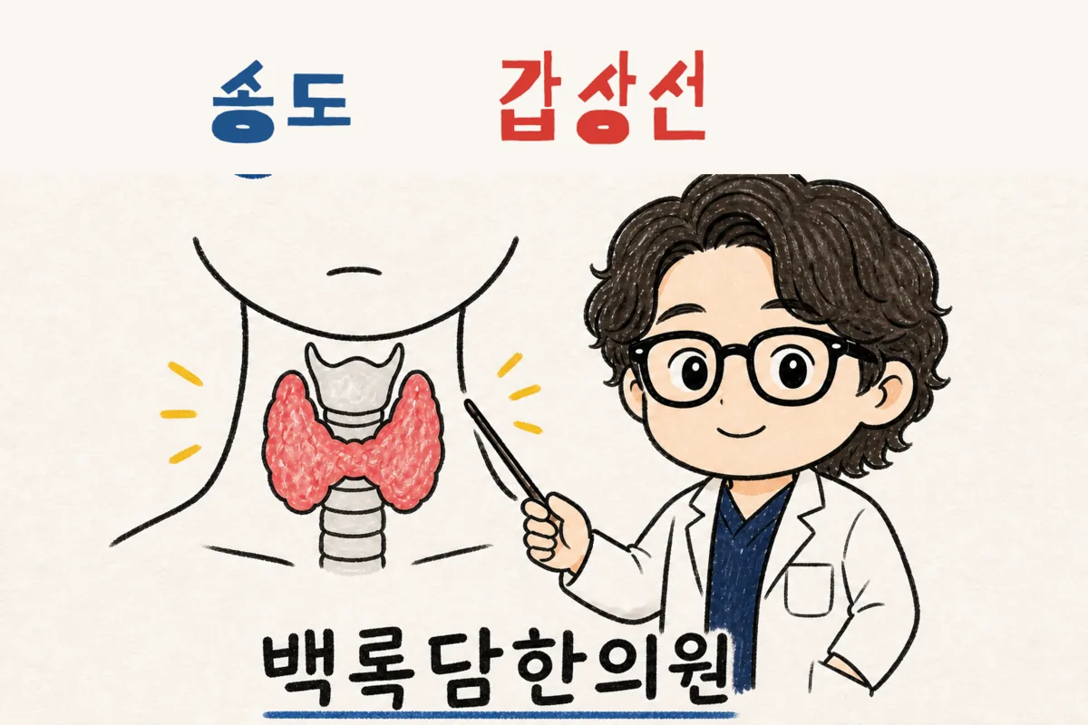 송도 갑상선, 수치는 괜찮다던데 밤이면 몸이 무겁고 차가워질 때
