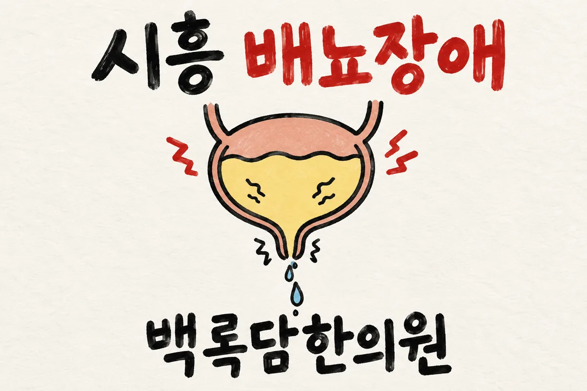 시흥 배뇨장애, 스트레스 뒤 소변이 자꾸 마려워 피로인지 병인지 헷갈릴 때